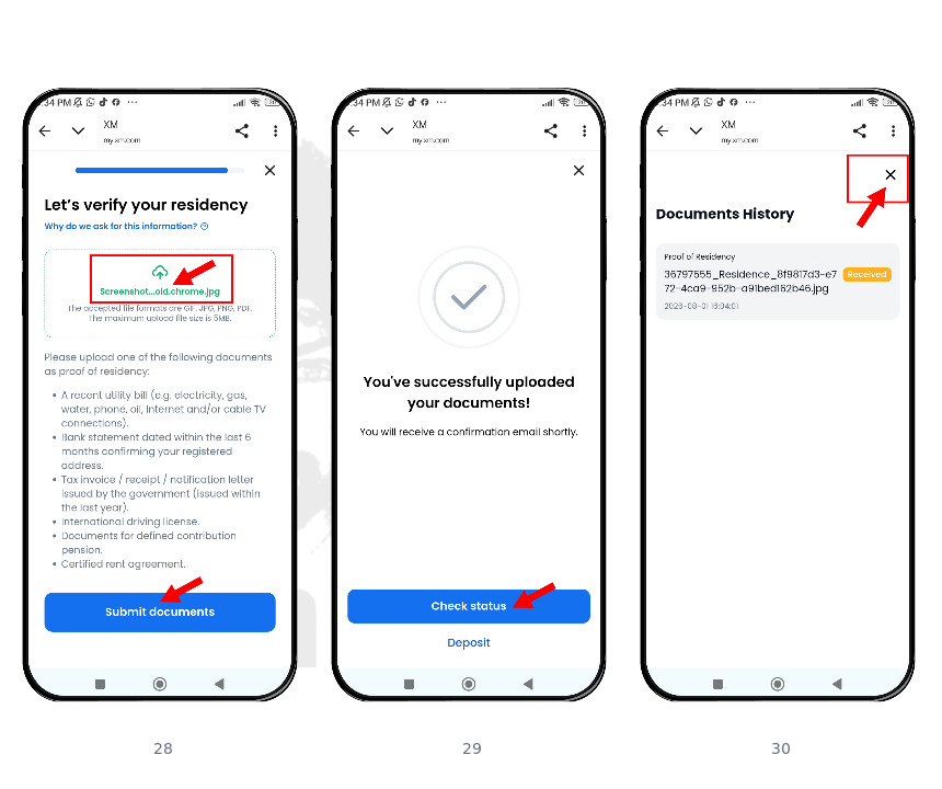 Step 10: Submit and check status